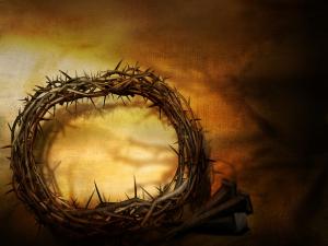 crown of thorns